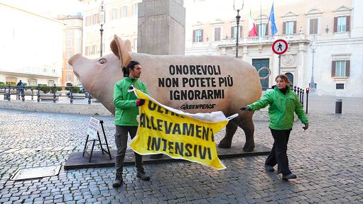 Greenpeace: misure su allevamenti intensivi e nitrati nelle acque