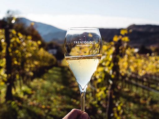 Trentodoc: nel 2025 180 mln di fatturato con 12,2 mln bottiglie vendute