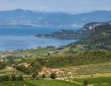 A Consorzio vini Bardolino il premio “Vinitaly 100 anni d’eccellenza”