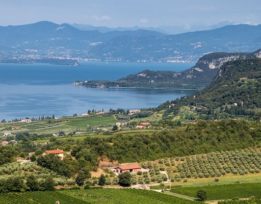 A Consorzio vini Bardolino il premio “Vinitaly 100 anni d’eccellenza”