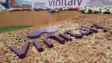 Rinnovata area Masaf al Vinitaly: fitto calendario di convegni