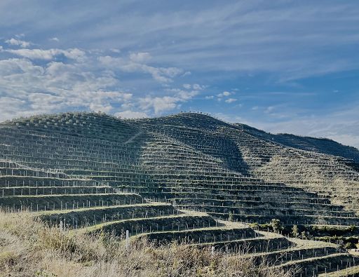 Cobo Winery rilancia sugli autoctoni e punta sull’enoturismo a Berat
