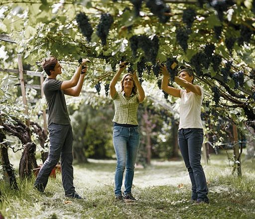 Rottensteiner a Vinitaly con la sua Linea Classica rinnovata