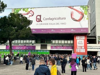 Confagricoltura: vino pilastro economia ma serve strategia Ue