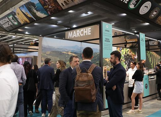 Le Marche promuovono Vinitaly, Rossi: riscontri molto soddisfacenti Le Marche promuovono Vinitaly, Rossi: riscontri molto soddisfacenti