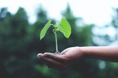 Agrofarma e Federbio presentano il manifesto per il biocontrollo
