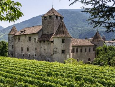 ”Vinaltum” 2026 debutta a Castel Mareccio a Bolzano il 17 e 18 maggio