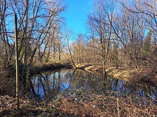 Collaborazione Parco del Ticino-Meritor per nursery di lucci