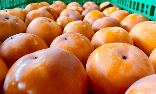 Ismea: cresce attenzione famiglie verso frutta e verdura Ismea: cresce attenzione famiglie verso frutta e verdura