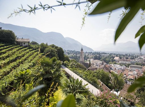 Merano omaggia Tappeiner, il medico delle passeggiate e del verde