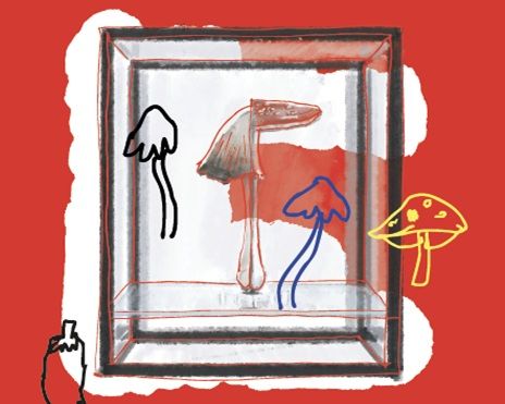 Mercato Centrale Milano serve Carsten Holler tra gusto e psichedelia