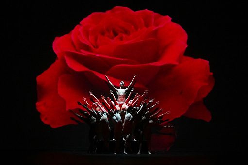 Teatro, Momix a Roma con “Botanica Season 2” dal 28 aprile