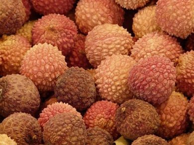 Gruppo Orsero selezionato per gestine export Litchi Madagascar