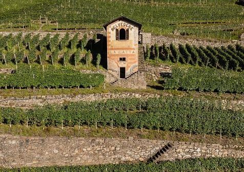 In Valtellina, cinque ecomusei raccontano le comunità e le Alpi