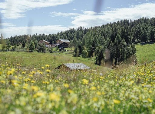 ”Malghe in Fiore”: da 16 maggio a 6 giugno escursioni in Val Pusteria