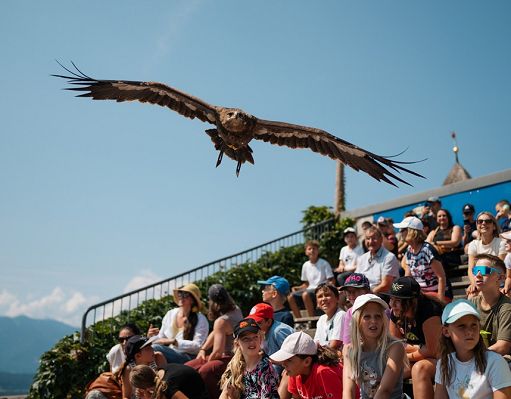 In Carinzia gli animali raccontano le Alpi ai bambini
