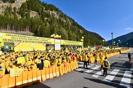 Coldiretti: dal Brennero mozzarella tedesca e latte francese