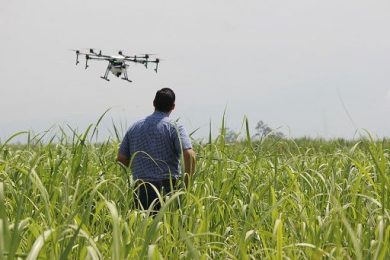 Tre eventi di Coldiretti Bio per fare rete tra imprese