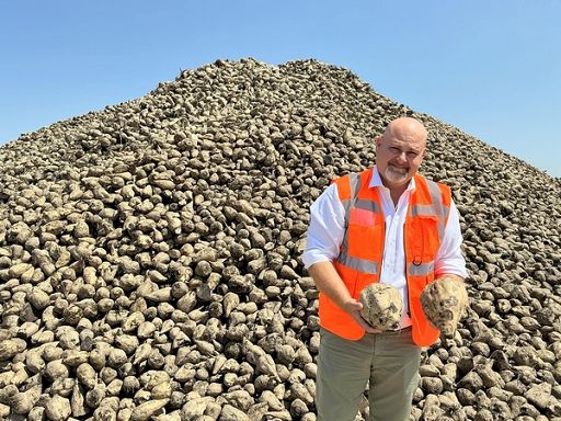 Coprob: grazie a Regione Veneto per sostegno a bieticoltura