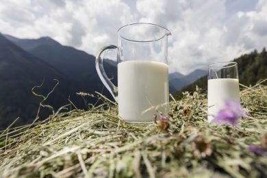 Latterie Alto Adige: in 2025 conferimenti +2,7% e fatturato +6,7%