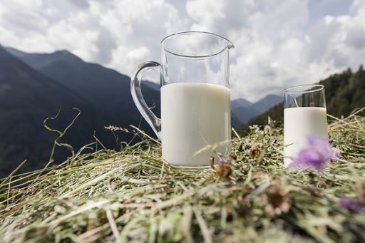 Latterie Alto Adige: in 2025 conferimenti +2,7% e fatturato +6,7%