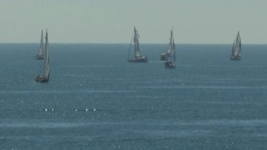 Flotilla, ActionAid condanna intercettazione navi e arresto attivisti