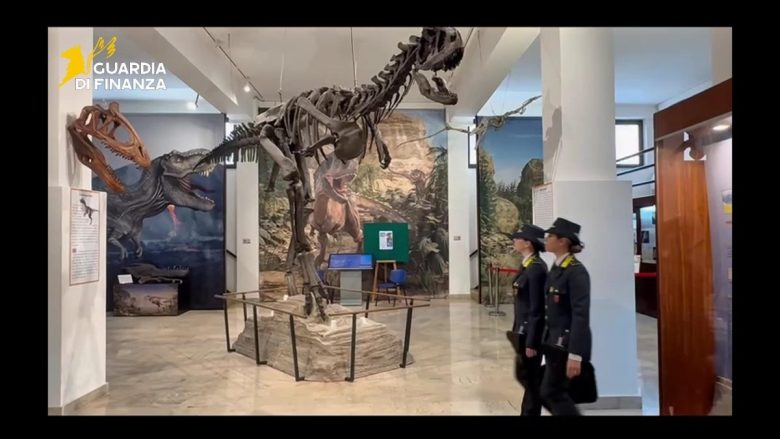 VIDEO | Palermo, le immagini del sequestro dei reperti fossili