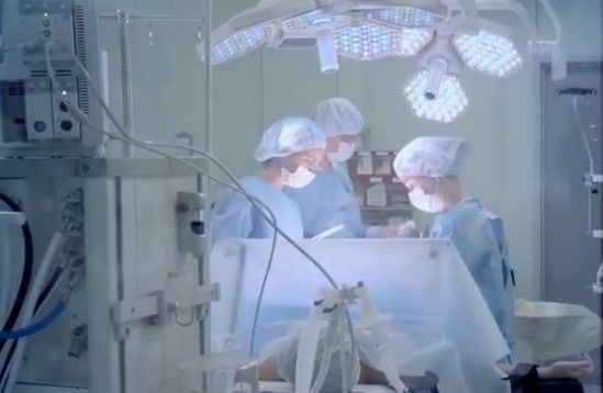 Donna morta a Palermo, al Policlinico prelievo multiorgano: “Atto di grande valore umano”