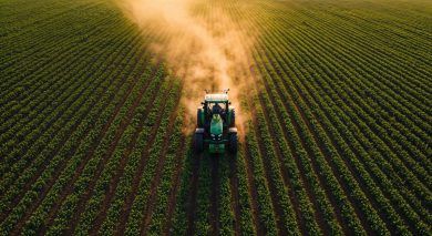 Dai campi all’inclusione: la Sicilia punta sull’agricoltura sociale