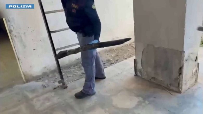 Blitz a Librino: trovati due fucili e 22 munizioni, scattano le indagini