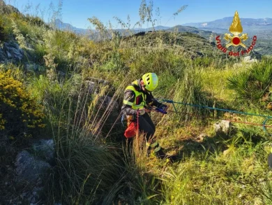 Cane precipita in un fosso: il salvataggio a Bagheria