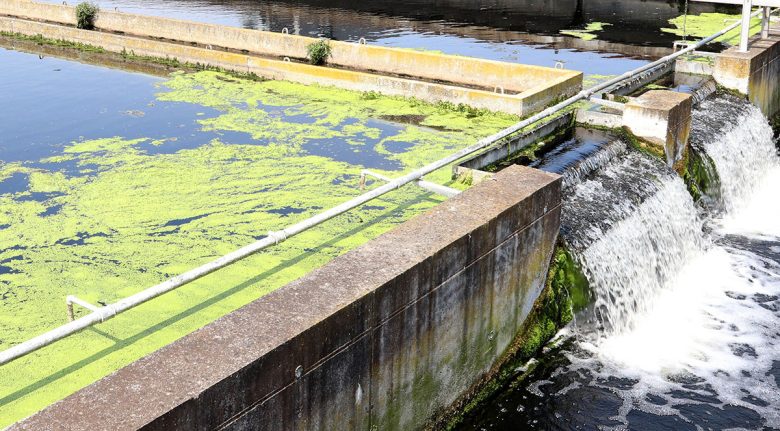 Depurazione, la corsa per liberare l’Isola dalle multe. A Catania un collettore di 25 km pronto ma bloccato