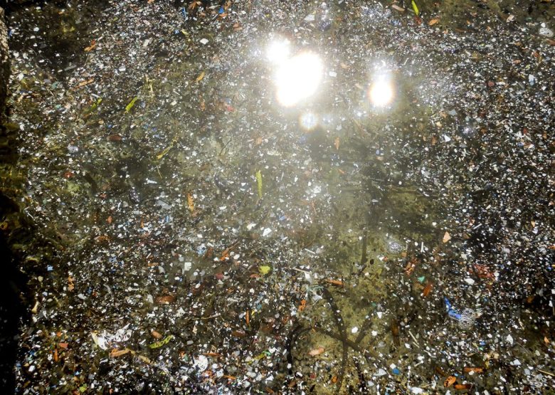 Batteri fecali, pesticidi, metalli pesanti: cosa scorre davvero nelle acque siciliane