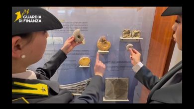 Il blitz a Palermo, scatta il sequestro di 17 reperti fossili d’interesse archeologico
