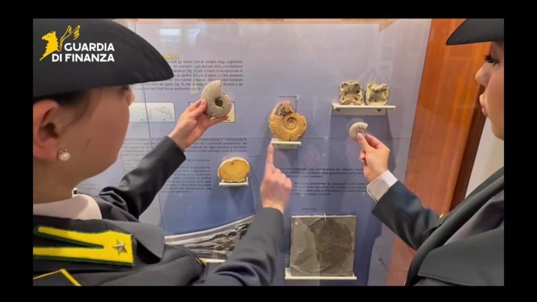 Il blitz a Palermo, scatta il sequestro di 17 reperti fossili d’interesse archeologico