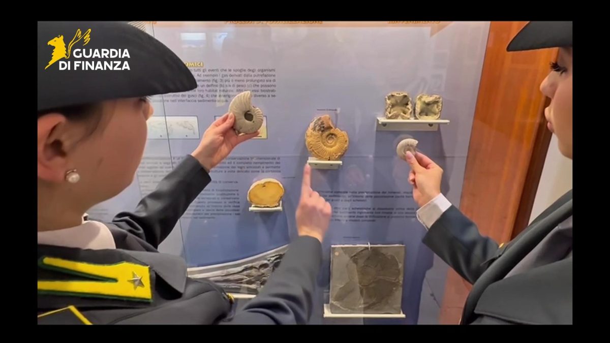 Il blitz a Palermo, scatta il sequestro di 17 reperti fossili d’interesse archeologico