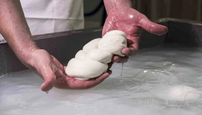 Mozzarella bio richiamata dal commercio per scadenza errata: ecco lotto e prodotto coinvolto