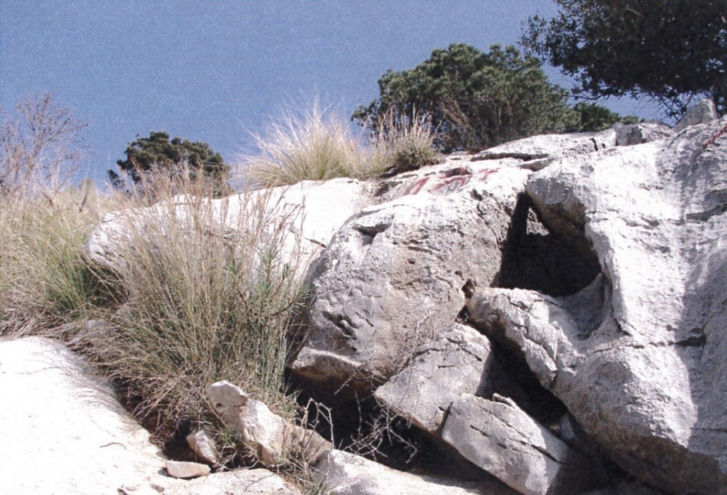 Dissesto, consolidamento Monte Gallo a Palermo: via libera alla gara per la progettazione