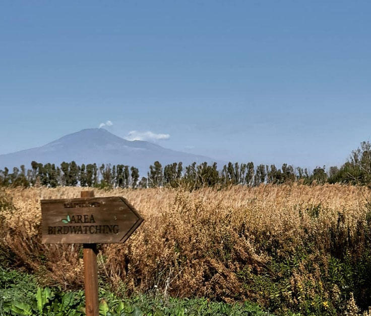 Simeto tra riserva e zone urbanizzate: è partito il lavoro del tavolo tecnico