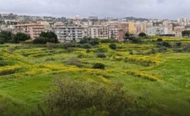 Catania, la corsa contro la cementificazione degli Orti della Susanna
