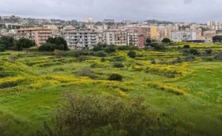 Catania, la corsa contro la cementificazione degli Orti della Susanna