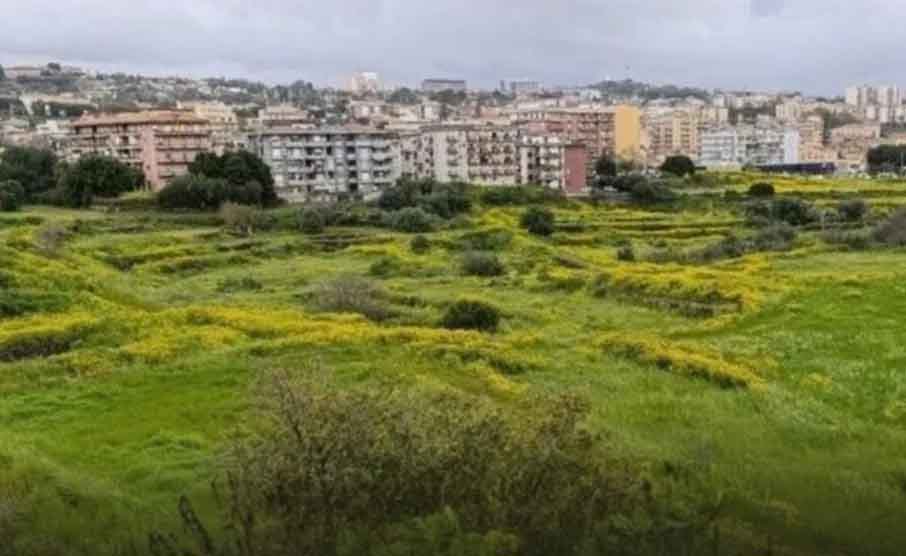 Catania, la corsa contro la cementificazione degli Orti della Susanna