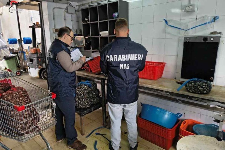 Cozze, vongole e ostriche nel totale degrado a Palermo: intervengono i NAS, chiusure e multe da oltre 11.000 euro