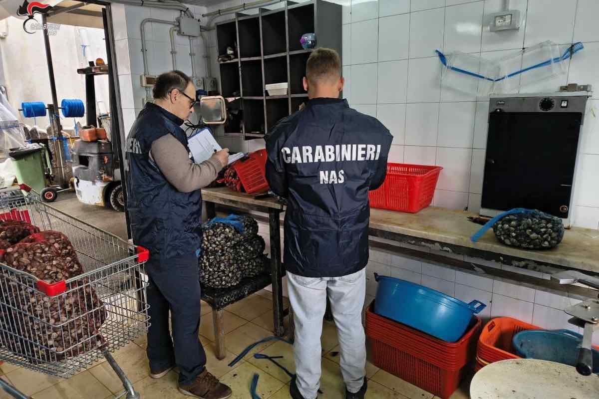 Cozze, vongole e ostriche nel totale degrado a Palermo: intervengono i NAS, chiusure e multe da oltre 11.000 euro