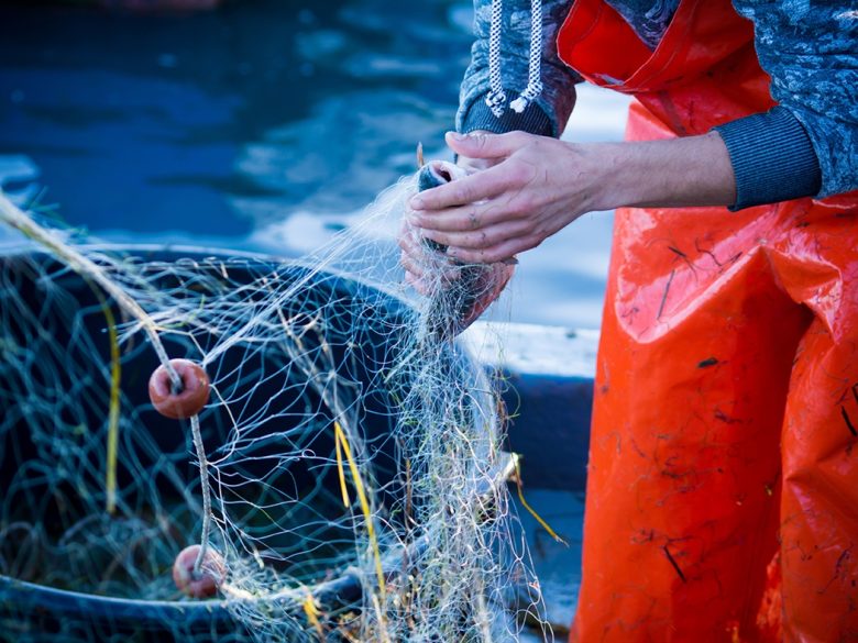 Ciclone Harry, un milione di euro per danni ai luoghi di sbarco e vendita del pescato: come richiedere il contributo