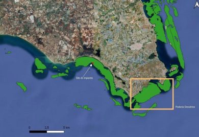 Difendere i litorali dalle mareggiate con la posidonia: ecco l’ambizioso progetto Rest-Coast
