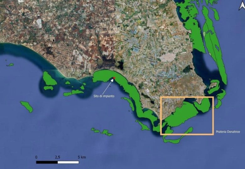 Difendere i litorali dalle mareggiate con la posidonia: ecco l’ambizioso progetto Rest-Coast