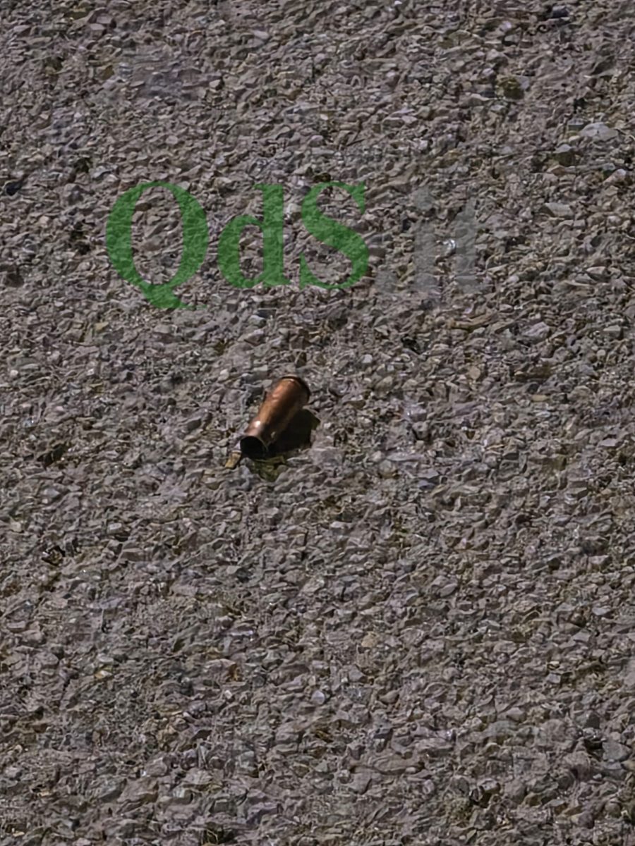 VIDEO-FOTO | L’intimidazione al centro revisione di Sferracavallo VIDEO-FOTO | L’intimidazione al centro revisione di Sferracavallo