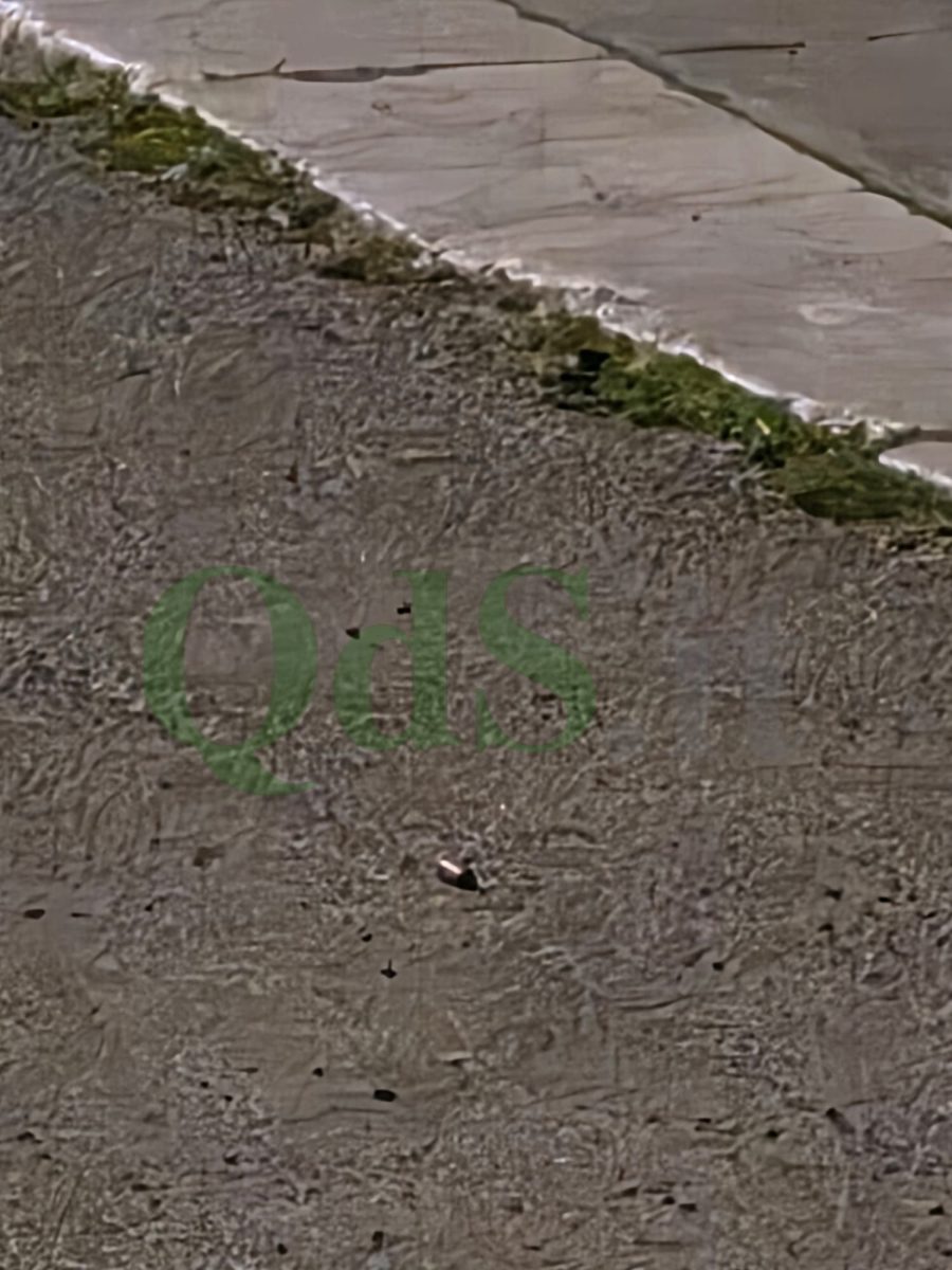 VIDEO-FOTO | L’intimidazione al centro revisione di Sferracavallo VIDEO-FOTO | L’intimidazione al centro revisione di Sferracavallo