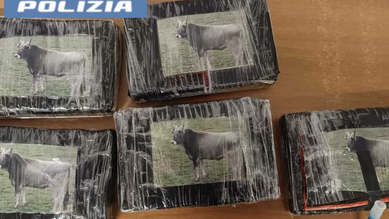Sorpresa nei pressi del “Massimino”: trovata auto rubata con 5 kg di cocaina dentro